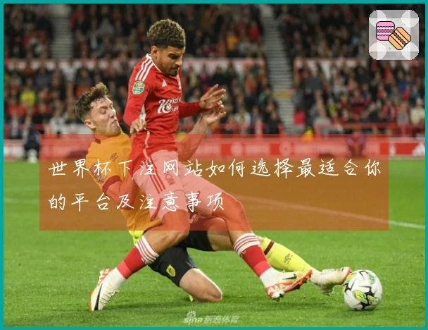 世界杯下注网站如何选择最适合你的平台及注意事项
