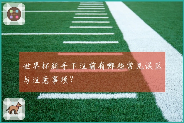 世界杯新手下注前有哪些常见误区与注意事项？