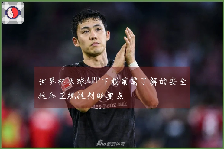 世界杯买球APP下载前需了解的安全性和正规性判断要点