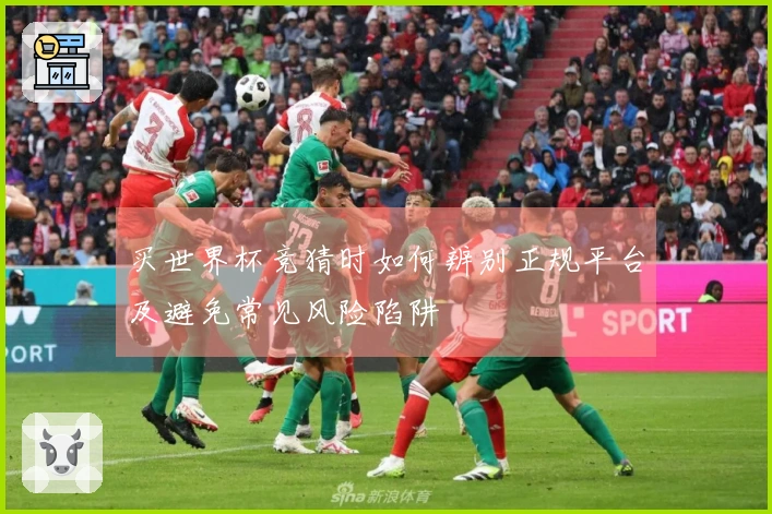 买世界杯竞猜时如何辨别正规平台及避免常见风险陷阱