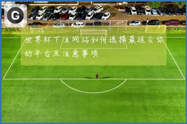 世界杯下注网站如何选择最适合你的平台及注意事项